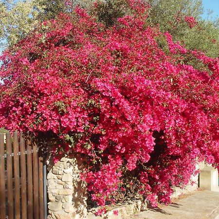 Casa A 300Mt.Dal Mare Calasinzias, 6 Letti, Ac, Pets Welcome, Wi-Fi Free Cala Sinzias Eksteriør bilde